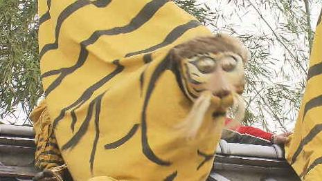 650年の伝統！　初午まつりで火伏せの虎舞披露　宮城・加美町|TBS NEWS DIG