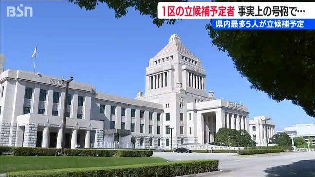 36年ぶりの真冬の政治決戦 　5人による激戦事実上スタート 新潟1区|TBS NEWS DIG