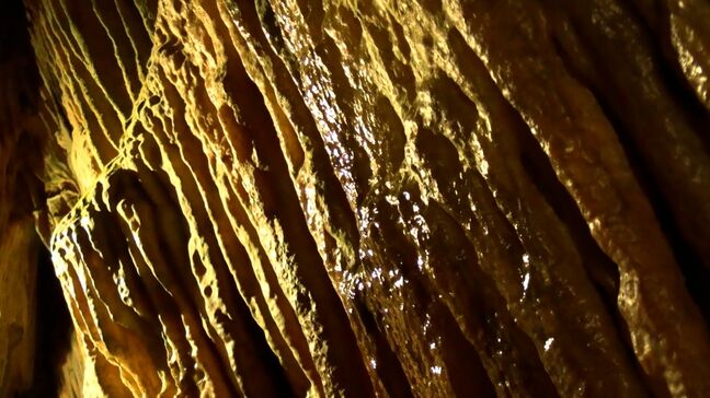 「気温14度」真夏でも涼しい鍾乳洞「満奇洞」想像以上に涼しくて心地よいと観光客に人気【岡山】|TBS NEWS DIG