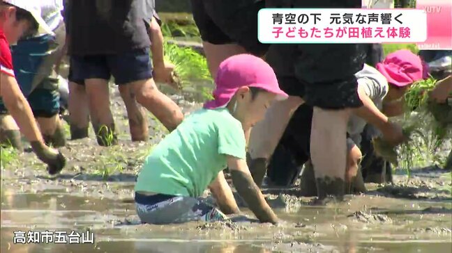 「お米が足りていないのでたくさん育って」青空の下　元気な声響く　子どもたちが田植え体験　|TBS NEWS DIG