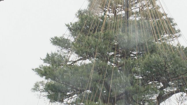 石川県内 冬型強まり断続的に雪 夕方まで山地で大雪に注意 3連休は警報級も|TBS NEWS DIG