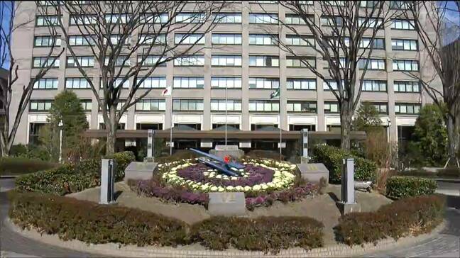 宮城県の人口動態統計速報 "出生数は12年連続・婚姻数は2年ぶりに"ともに減少 県は今後も結婚支援や子育て支援に注力|TBS NEWS DIG