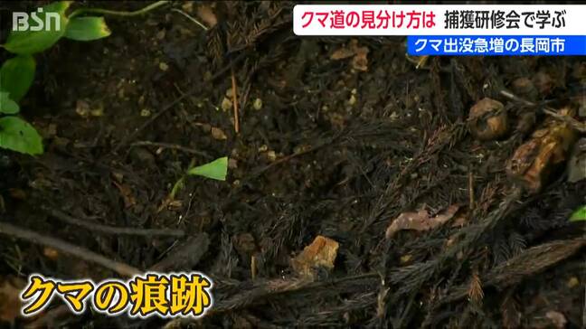 “クマ道”の見分け方「倒木をいじってガリガリやった跡が…」出没急増の新潟・長岡市でクマの捕獲研修会|TBS NEWS DIG