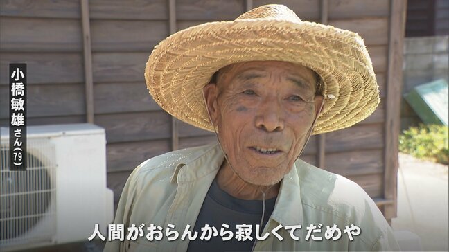 能登半島地震から半年　公費解体の遅れが復興の足かせに|TBS NEWS DIG