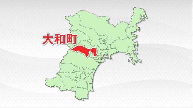 電柱に軽乗用車突っ込み2人けが　うち助手席の高齢女性は会話できない状態　宮城・大和町|TBS NEWS DIG