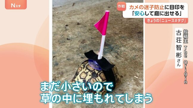 カメに原始的すぎる目印　居場所が一目でわかるように|TBS NEWS DIG