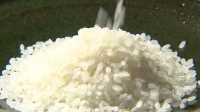 「チャーハンにしたら美味しいのかな」アメリカ・カリフォルニア産のカルローズ米「かろやか」販売開始 愛媛|TBS NEWS DIG
