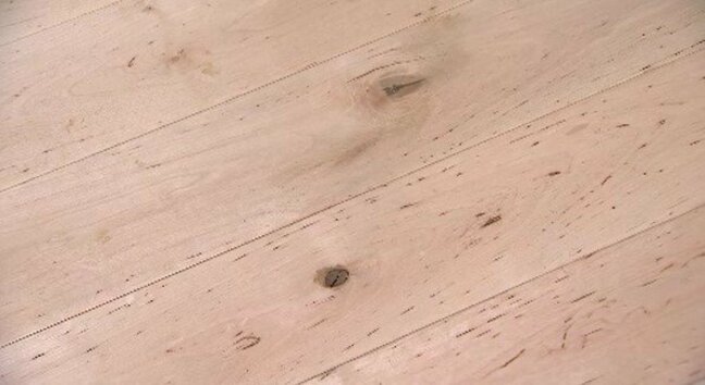 地域のシラカバ林を守ろう！シラカバの間伐材を「フローリング材」に活用　森林保全に取り組む企業が内覧会　長野|TBS NEWS DIG