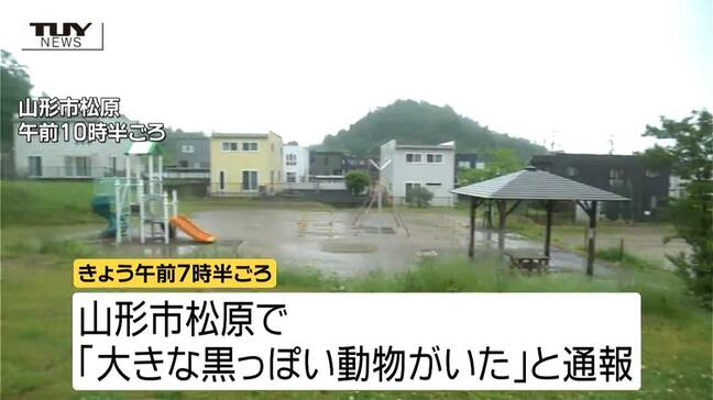 朝からクマの目撃相次ぐ 公園や民家の近く 連日、人の生活エリアでの出没 県が警戒を呼びかけ(山形)|TBS NEWS DIG