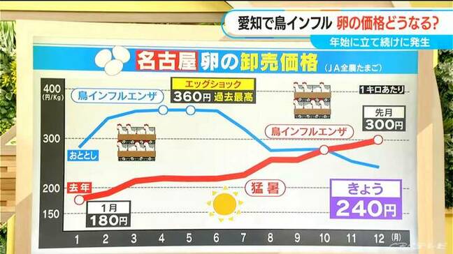 愛知で「鳥インフルエンザ」連続発生  卵の価格はどうなる？ おととしは“エッグショック”で過去最高値に|TBS NEWS DIG