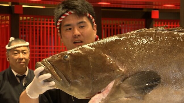 「脂が濃厚ですごく美味しかった」幻の高級魚 “クエ” の解体ショー　体長は1m25cm 重さ32kg　寿司店が独自ルートで仕入れ【岡山】|TBS NEWS DIG