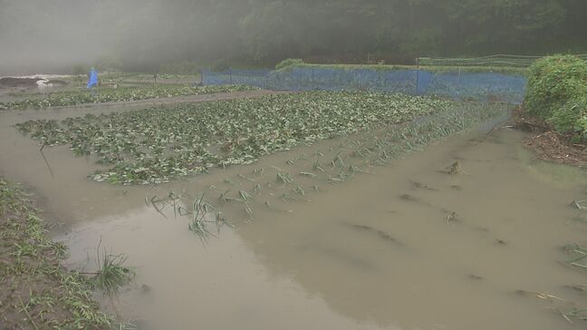 宮古市で水稲5.2ha冠水　岩泉町で生乳の廃棄も・・・台風5号による農業への被害まとめ（14日午前10時現在）　岩手|TBS NEWS DIG