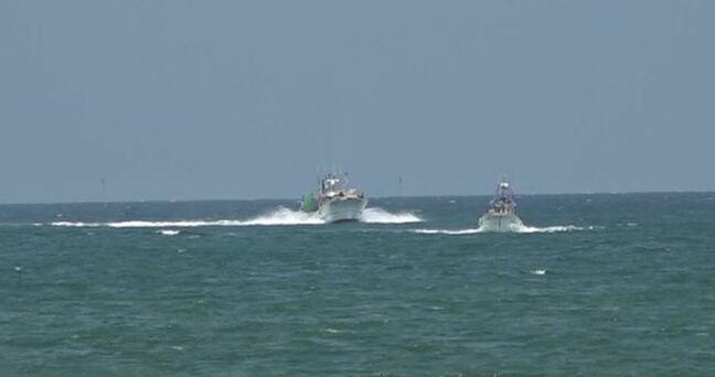 「宝の海です」海女たち待望のサザエ・アワビ素潜り漁が2年ぶりに再開 石川・輪島市|TBS NEWS DIG