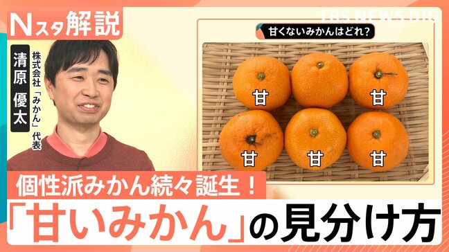 簡単「甘いみかん」の見分け方！人気上昇「紅まどんな」の魅力＆“200種超え”最新みかん事情【Nスタ解説】|TBS NEWS DIG