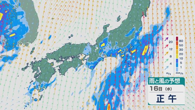 【大雨情報】17日(木)昼過ぎから夜遅くに四国で「線状降水帯」発生のおそれ  18日(金)にかけて西日本から東日本にかけて大雨のところも雨と風シミュレーション|TBS NEWS DIG