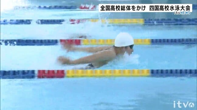 インターハイ目指しスイマーが熱戦  四国高校選手権水泳競技大会|TBS NEWS DIG