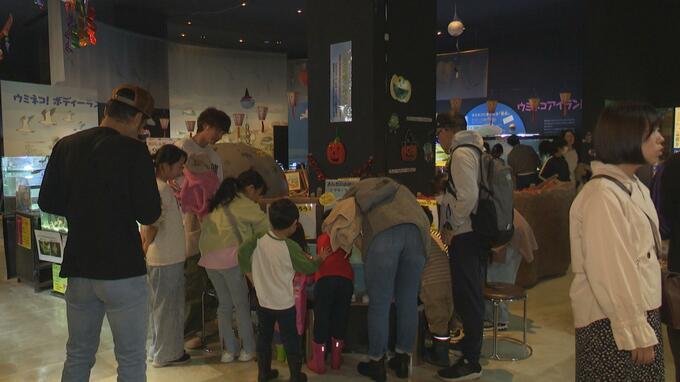 水の中で「ガイコツ？」「ドラキュラ？」ハロウィーンらしい魚たちを楽しむ企画展　青森・八戸市|TBS NEWS DIG