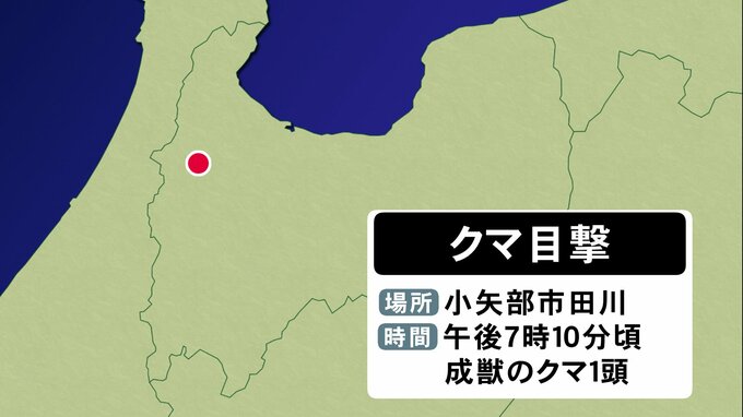 道路を横切るクマ目撃　市と警察がパトロール 注意呼びかけ　富山・小矢部市　|　富山のニュース｜天気・防災｜チューリップテレビ