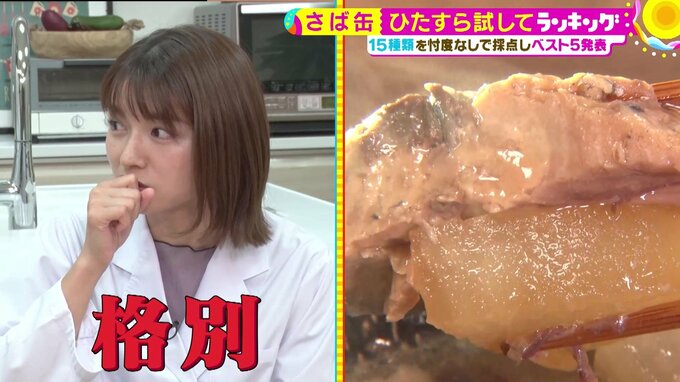 「さば缶」ひたすら試してランキング、2位『伊藤食品 あいこちゃん鯖水煮』、名店の超一流料理人が「さば缶の教科書のような味」と称賛する総合第1位は?【MBSサタデープラス 独自ランキング】|TBS NEWS DIG
