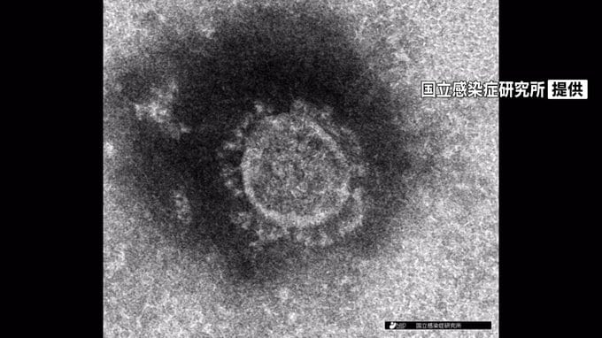 新型コロナ感染　静岡県で新たに４７００人|TBS NEWS DIG