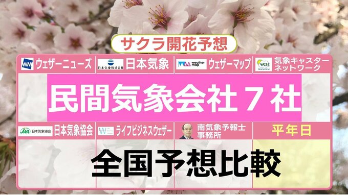 桜開花予想はどこが当たる！？７つの民間気象会社予想比較　全国 “最も早い”予想は3月18日　 東京４社　高知・福岡が続く　来週には続々開花の便りか　サクラ前線北上早く札幌で４月中の開花も　　|TBS NEWS DIG
