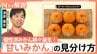 簡単「甘いみかん」の見分け方！人気上昇「紅まどんな」の魅力＆“200種超え”最新みかん事情【Nスタ解説】|TBS NEWS DIG