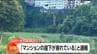 「マンションの崖下が崩れている」仙台市・向山で崖が崩落　周辺道路の通行止めは18時50分時点で解除　|　宮城のニュース│tbc NEWS│tbc東北放送