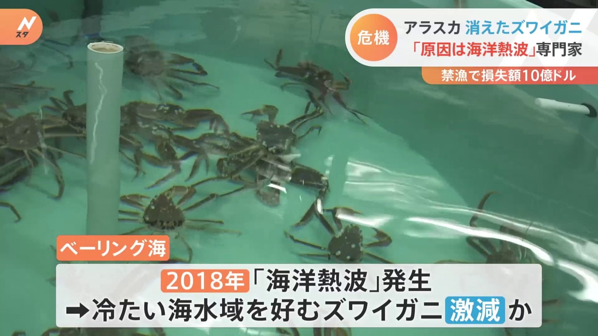 ベーリング海カニ漁師着用ジャケット