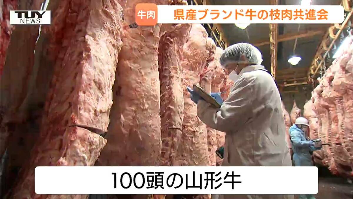 総称山形牛」のブランド力向上へ！枝肉の品質を競う共進会 最高賞は約