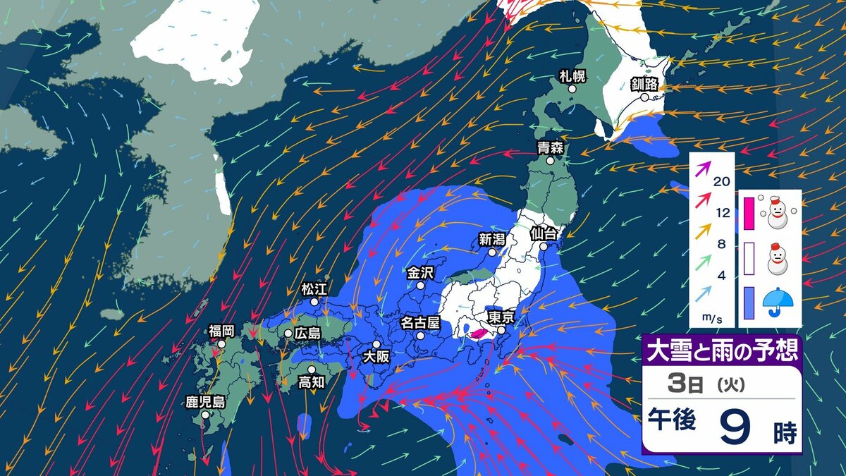 サムネイル_【今後の雨と雪は？】関東甲信や東北太平洋側で大雪となる所も　関東南部の平地でも24時間降雪量1cm予想　週末も全雨風強まる？【3時間ごとの雨雪シミュレーション・2日午後10時更新】