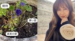 【工藤静香】次女・Kōki,の主演映画の公開日に吉兆 「テンションが上がるう」植えたことも忘れたアネモネを発見 “期待&真実の愛”|TBS NEWS DIG
