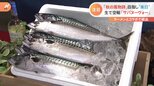 ボージョレ・ヌーボーに続けるか！？厳選した霜降りサバを冷凍せずに空輸する「サバヌーヴォー」が日本で販売開始|TBS NEWS DIG