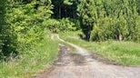 「生きた状態でクマに襲われたか」酒田市の男性遺体はクマによる傷が多数…警察は「クマによる傷で矛盾なし」としてクマの胃の内容物も調べる（山形）|TBS NEWS DIG