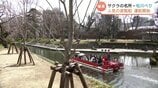 富山市の桜の名所・松川の遊覧船 今季の運航開始 花見シーズンは海外客中心に予約埋まる | 富山のニュース|天気・防災|チューリップテレビ