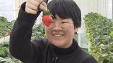 【多様化するいちご狩り】食べ放題にスイーツビュッフェをつけても農家が赤字にならないワケ　「夜限定」や「時間無制限」など特別な体験にインバウンドも熱視線|TBS NEWS DIG