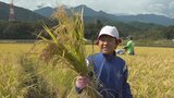 稲刈りに初挑戦! 武川小の児童がICT教育で栽培した地元のブランド米を収穫|TBS NEWS DIG