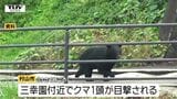 小学校付近や住宅街でクマ目撃　まだ付近に潜んでいる可能性も…市や警察が注意呼びかけ（山形）|TBS NEWS DIG