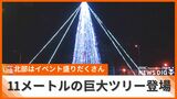 高さ11メートル、3万7000個のLEDが彩る金武町のクリスマスツリー 本島北部は師走もイベントで大盛り上がり | 沖縄のニュース|RBC 琉球放送