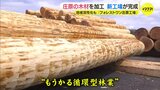 “もうかる循環型林業”　広島･庄原産材の製材や加工　新工場が完成|TBS NEWS DIG