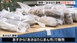 徳川家康も食した“ほくほく モチモチ”の「あさはた蓮根」出荷始まる 台風15号の影響も受けず 例年通りの出来ー静岡市|TBS NEWS DIG