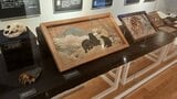 遠野、岩手の人たちがオオカミやクマなどの動物と人々がどう関わってきたかが分かる「遠野物語と動物」展　岩手・遠野市　|　IBC NEWS | IBC岩手放送