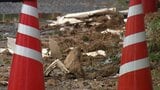 【大雨】岡山・香川では一時「レベル4 危険警報」発表 断続的に雨降り続き27日明け方にかけても低い土地の浸水や河川の増水に十分注意|TBS NEWS DIG