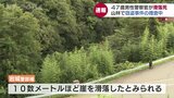 山林で捜査活動中の警察官が崖下に滑落し死亡 富山|TBS NEWS DIG