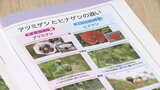 市主催のガーデニング講座で麻薬「あへん」原料・ケシの苗を誤って受講者の土産に 市が謝罪 廃棄を依頼　山口県宇部市|TBS NEWS DIG