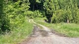「生きた状態でクマに襲われたか」酒田市の男性遺体はクマによる傷が多数…警察は「クマによる傷で矛盾なし」としてクマの胃の内容物も調べる（山形）|TBS NEWS DIG
