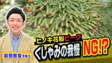ヒノキ花粉シーズン真っ只中！くしゃみをガマンすると危険？医師「くしゃみを無理におさえると別の病気につながるケースも」【MBSお天気通信】|TBS NEWS DIG