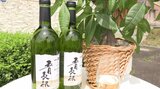 ワインの里から全国へ出荷開始 地元産ブドウのみでつくった新酒ワインが今年も完成 岩手・花巻市|TBS NEWS DIG