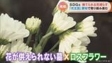 規格外や痛んだ花を墓前の供え花として有効活用 追加料金で墓掃除も “花王国”愛知で始まった取り組み【SDGs】 | 名古屋・愛知・岐阜・三重のニュース【CBC news】 | CBC web