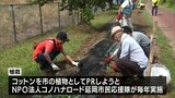繊維産業が盛んな延岡市でコットンの苗植え|TBS NEWS DIG