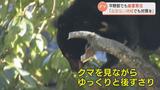 「全域逃げ場がないという状況」クマ大量出没…平野部でも厳重警戒 万が一遭遇した際の注意点は | 富山のニュース|天気・防災|チューリップテレビ